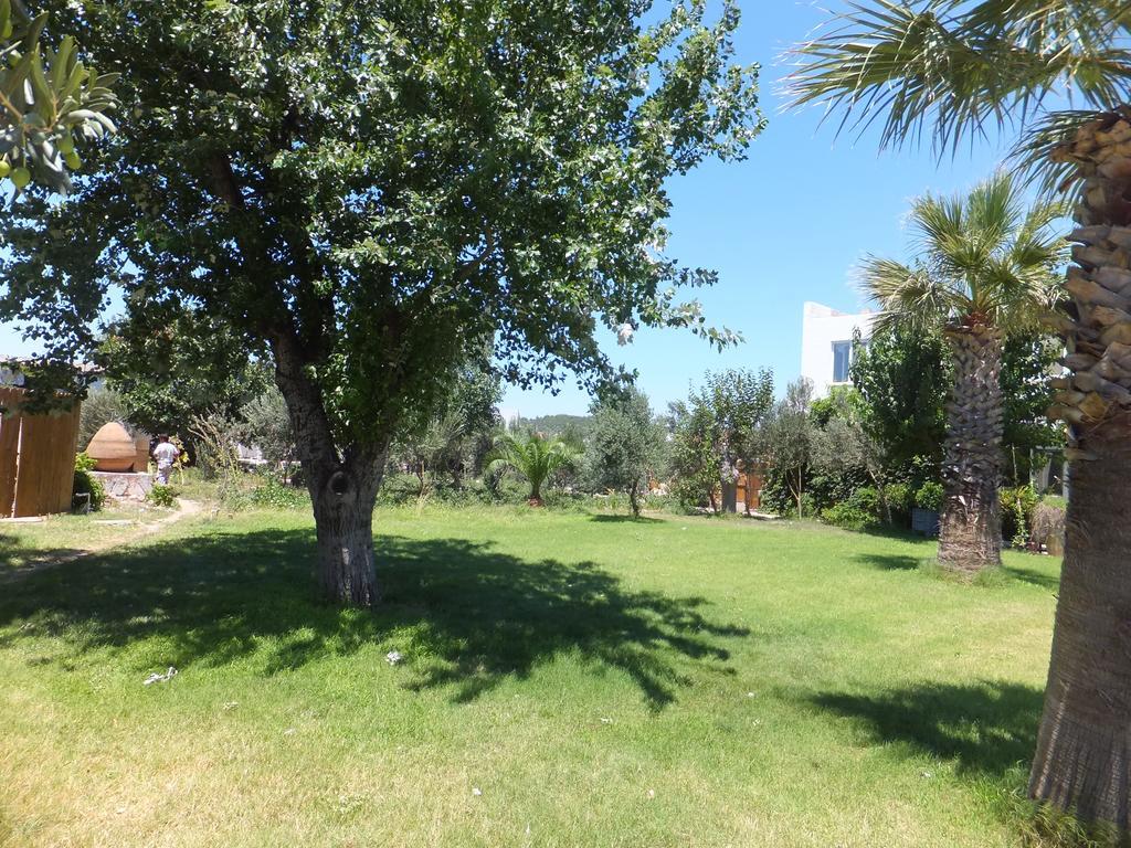 Aytas Hotel Ayvalı Exterior foto
